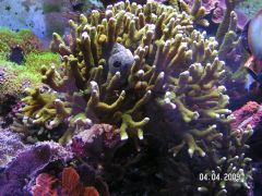 PICT4318.JPG