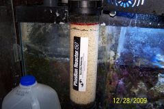NP Bio Pellets.jpg