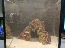 Mass micro bubbles during IM Ghost break-in