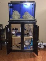 Tank Doors Open