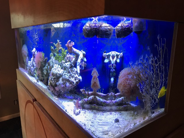 90 gl Acrylic w/ cusrtom stand and hood