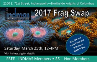 2017 INDMAS Frag Swap March 25