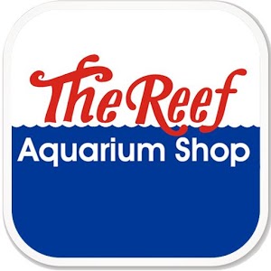 the reef logo.jpg